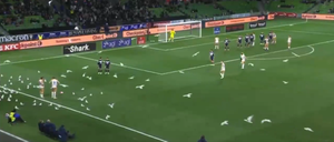 Kuriozalna sytuacja w Australii. Ptaki opanowały stadion [WIDEO] Zdjęcie główne wpisu