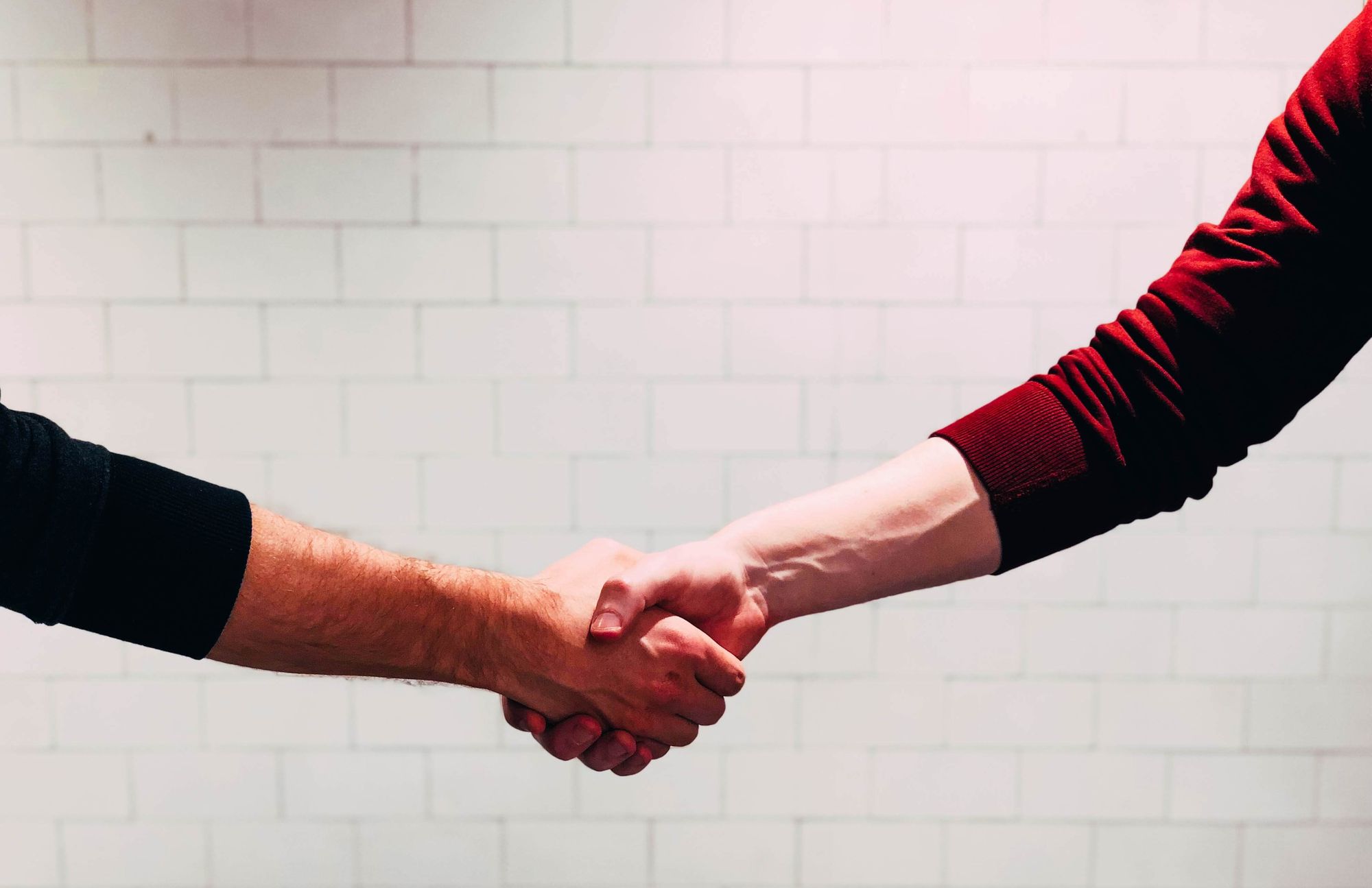 Close up of two mens arms, clasped in a handshake.