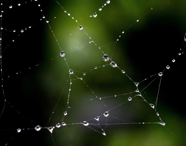 Why you need a micro-community