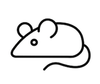 Pest Control