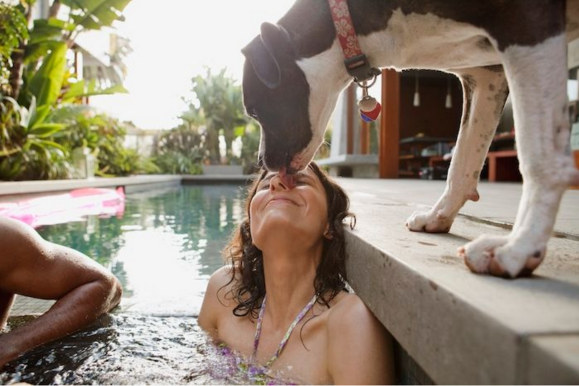 huisdier-oppas-vakantie-1