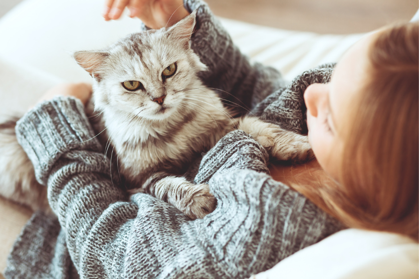 huisdier-oppas-vakantie-3