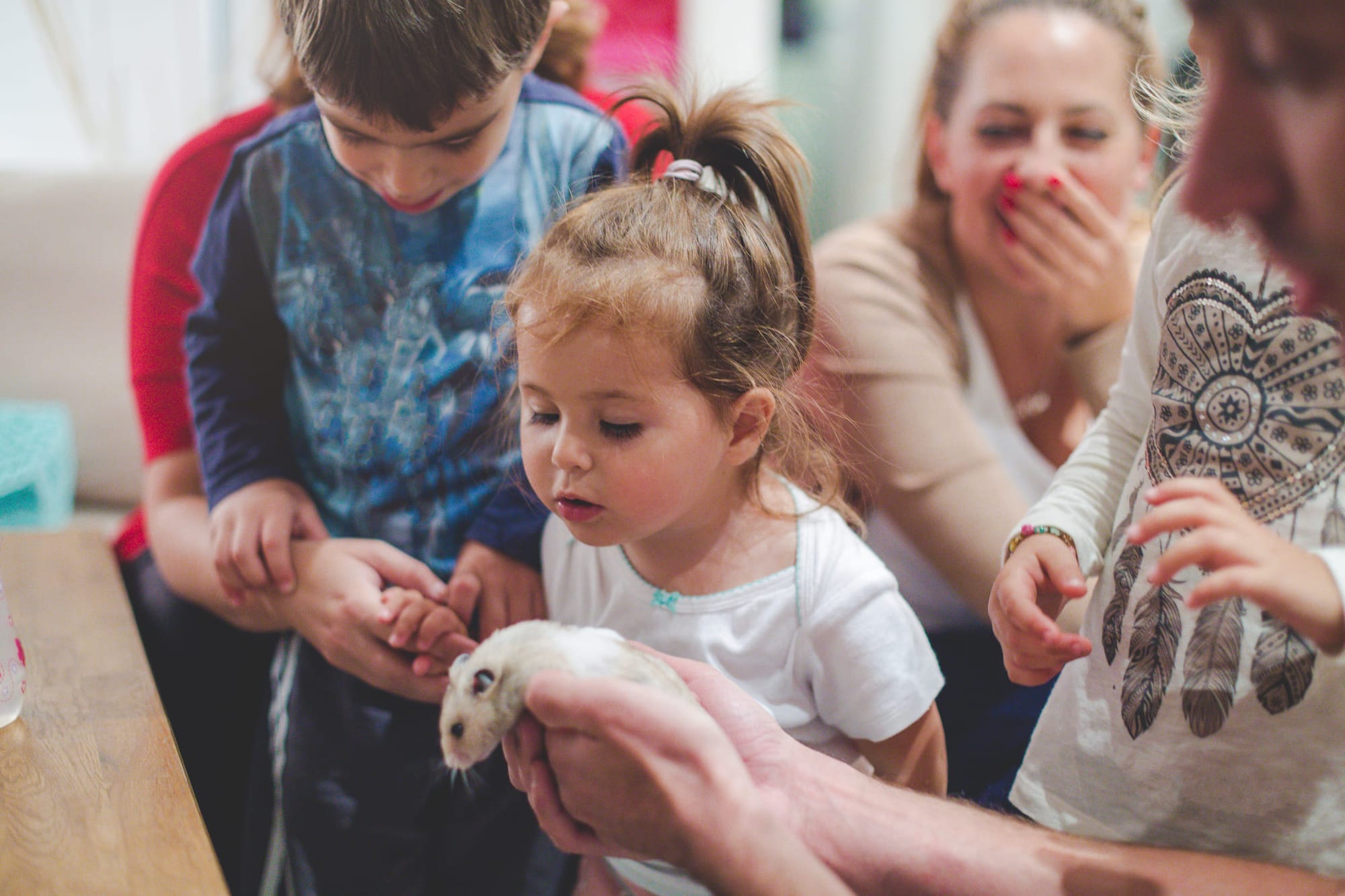 Kinderen spelen met een hamster - huisdierenoppas met HomeExchange