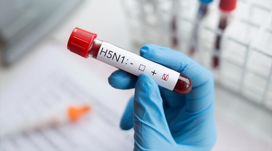 Canada Records First Human Case of Bird Flu, Described as a ‘Rare Event’