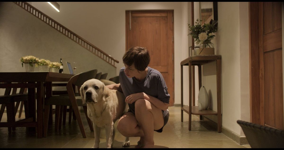All You Need to Know About "Emma and Angel" A Dive into the New Drama Film