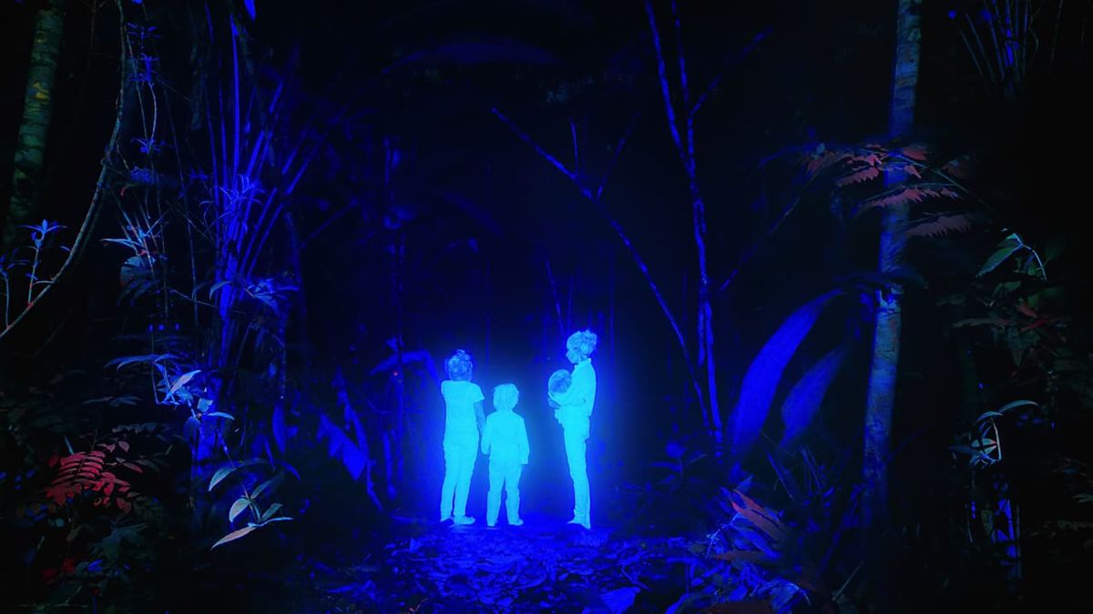 The Lost Children: A Tale of Survival and Ancestral Wisdom in the Amazon Rainforest