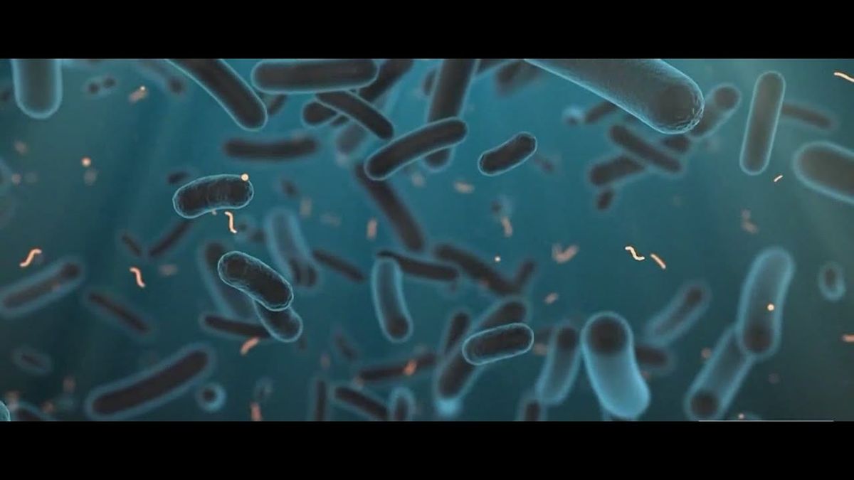 Harlem Legionnaires’ Cluster Grows: Two Dead, Nearly 60 Sickened in NYC Outbreak