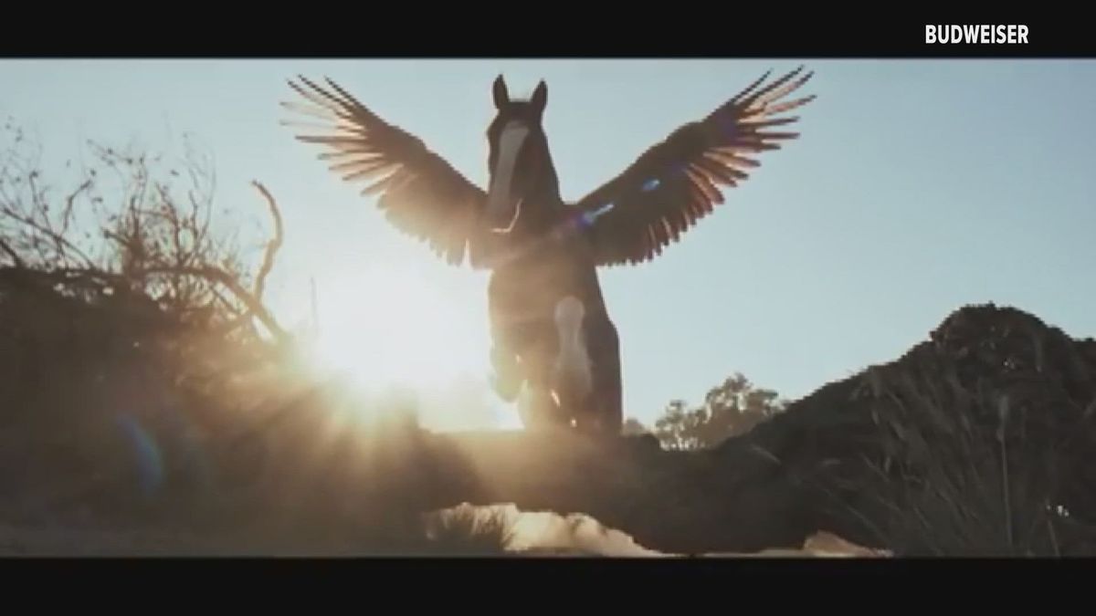Budweiser’s 2026 Super Bowl Ad Celebrates “American Icons” With Heartwarming Eagle-Horse Story
