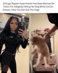 Twitch Bans Streamer Aspen Kartier After Viral Clip Sparks Outrage