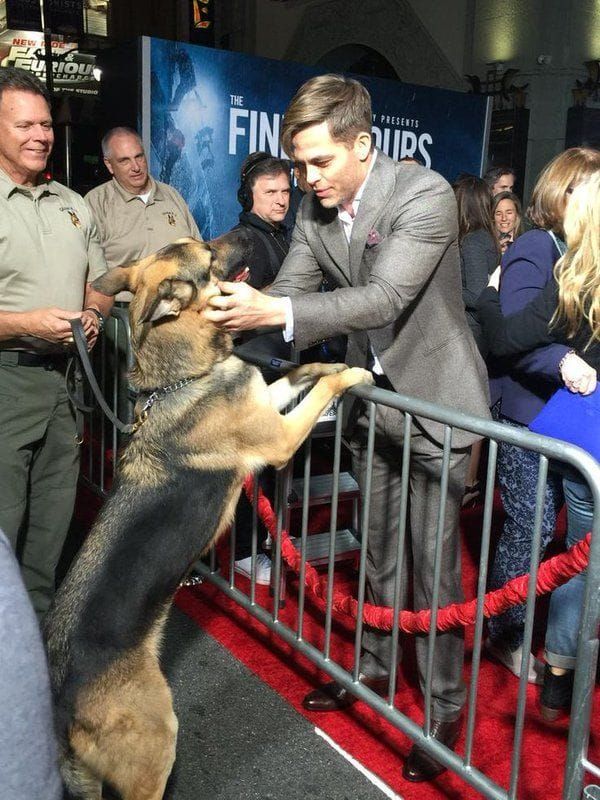 A Star's Canine Connection: Chris Pine talks about pet ownership