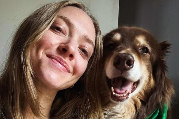 Amanda Seyfried on Leaving Hollywood for a 'More Balanced Life': "The Best Decision I've Made"