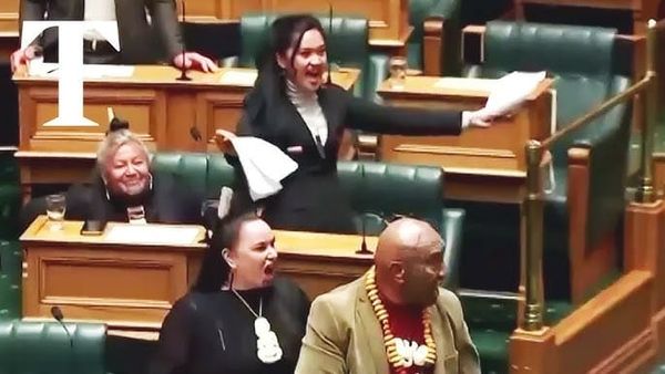 New Zealand Parliament Sees Powerful Haka Protest Over Treaty Reinterpretation Bill