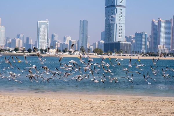 Dubai's Al Mamzar Corniche Beach: A Landmark Development for 2025