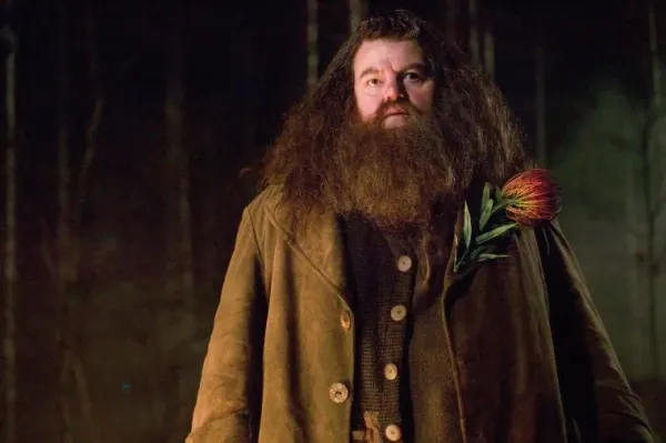 Nick Frost as Hagrid? HBO’s Harry Potter Series Nears Big Casting Decision