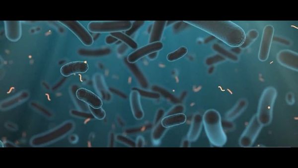 Harlem Legionnaires’ Cluster Grows: Two Dead, Nearly 60 Sickened in NYC Outbreak