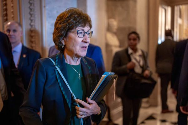 Maine Senate Race: Platner's Controversial Reddit Posts and Continued Candidacy
