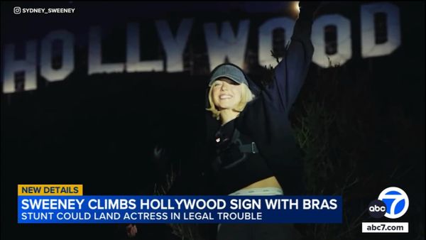 Sydney Sweeney Faces Backlash After Hanging Bras on Hollywood Sign Without Permission