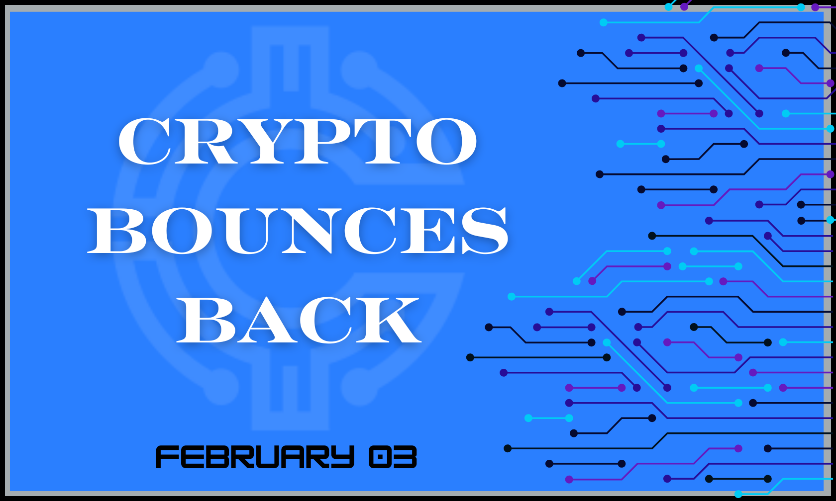 Crypto Bounce Back