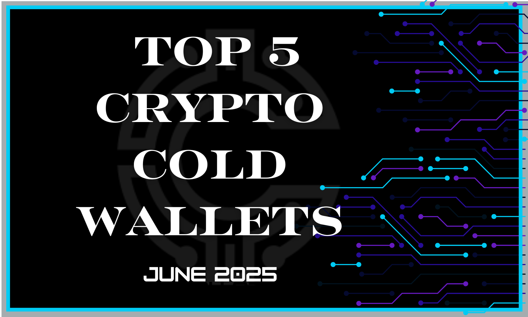 Top 5 Cold Wallets
