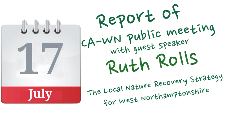 Report of public meeting 17 July 2025