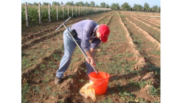 Offsetting and Carbon Trading