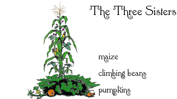 Fertility and The Three Sisters