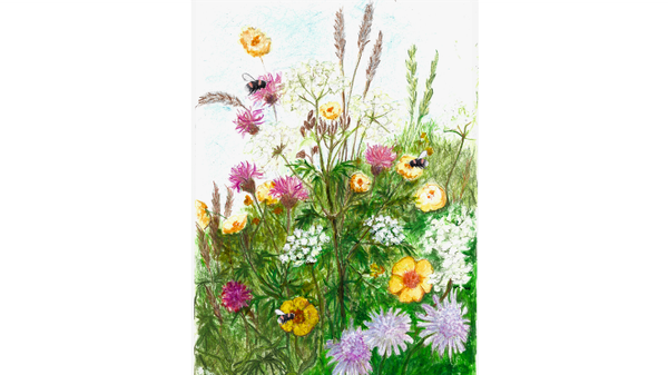 Claim Back Your Space