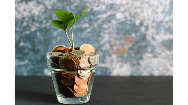 WNC 2024/25 Draft Budget Consultation