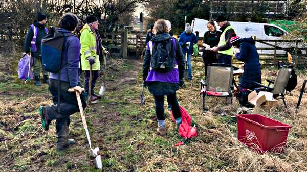 Tree Harvest gathered in
