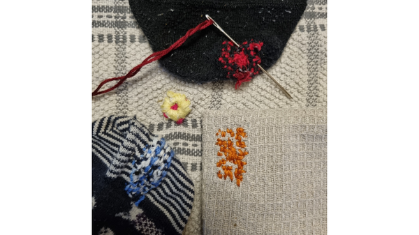 Meet the Steering Group - Ella Sage