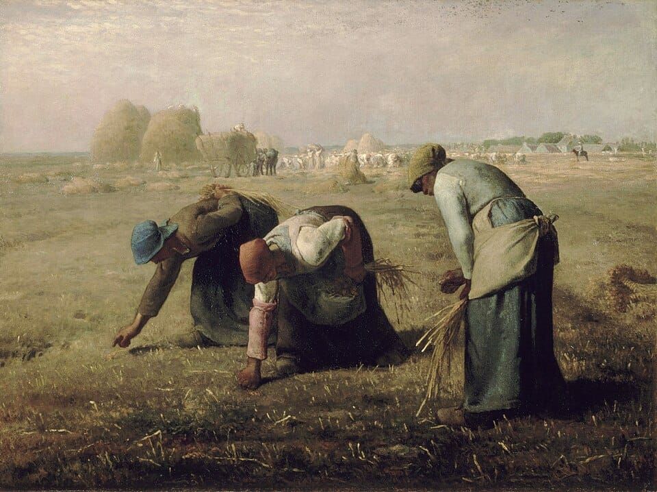 The gleaners