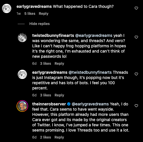 Instargam comment thread about the Cara software