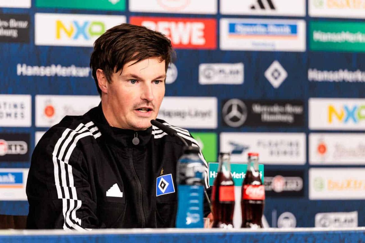Merlin Polzin beim HSV: Problemlöser statt Kultobjekt
