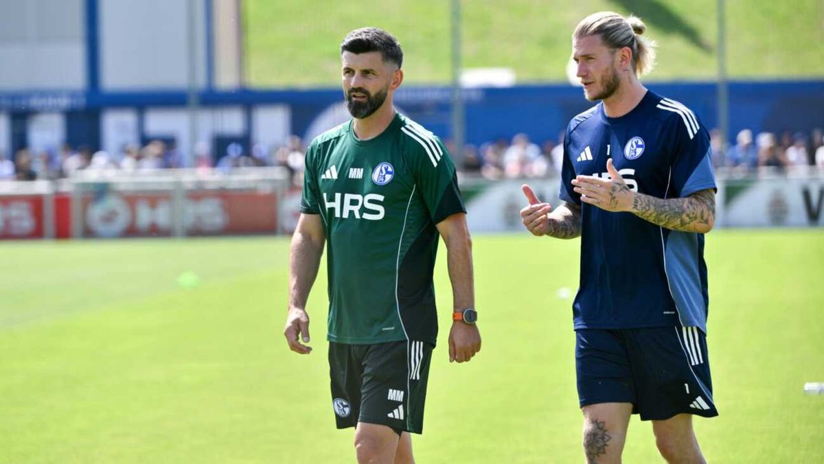 Karius über Muslic: Genau das, was Schalke braucht