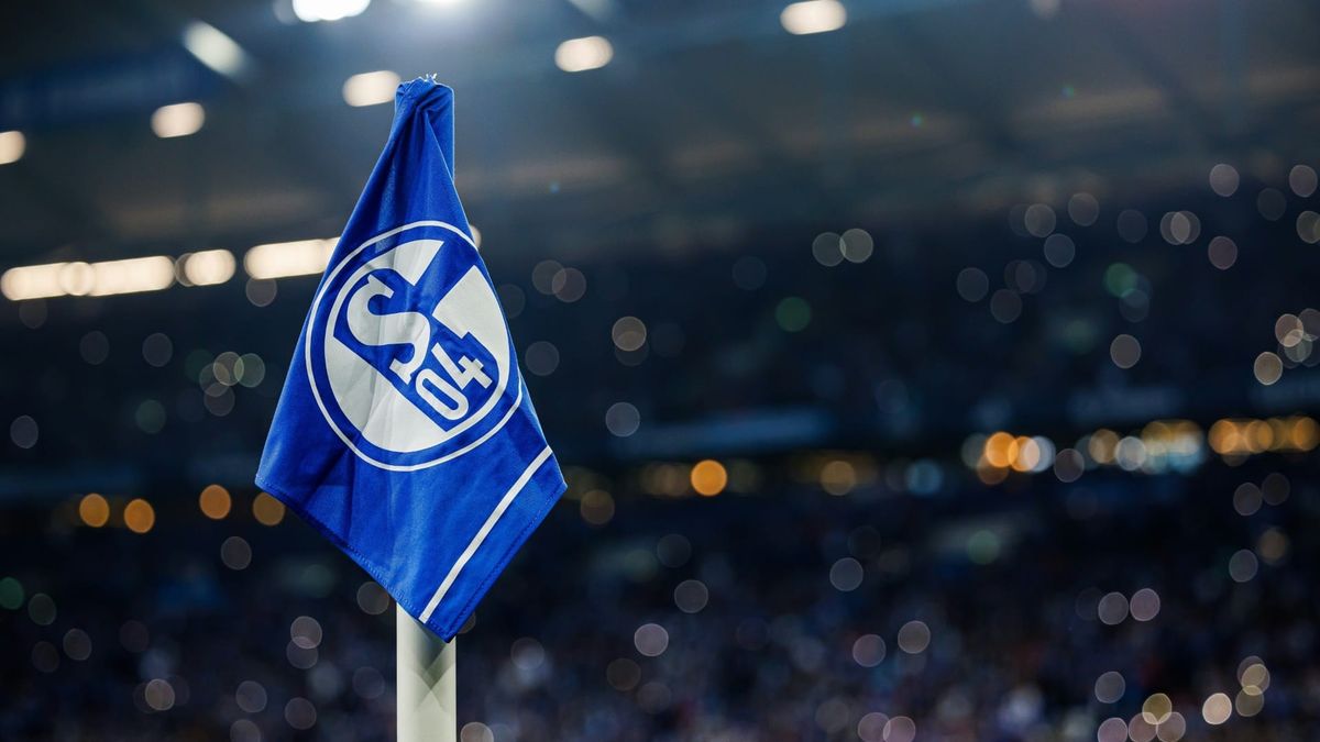 Schalke 04 gründet Fördergenossenschaft