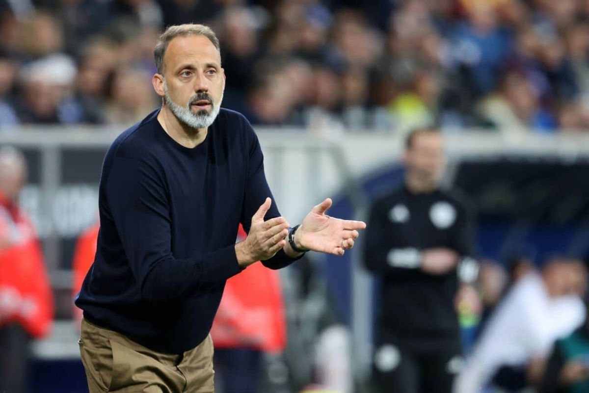 TSG-Trainer Matarazzo fordert Verstärkungen