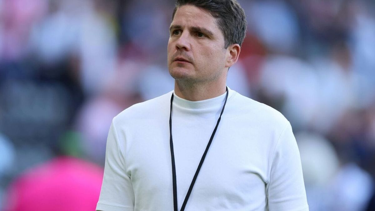 Medien: Schwegler vor Wechsel zu Wolfsburg