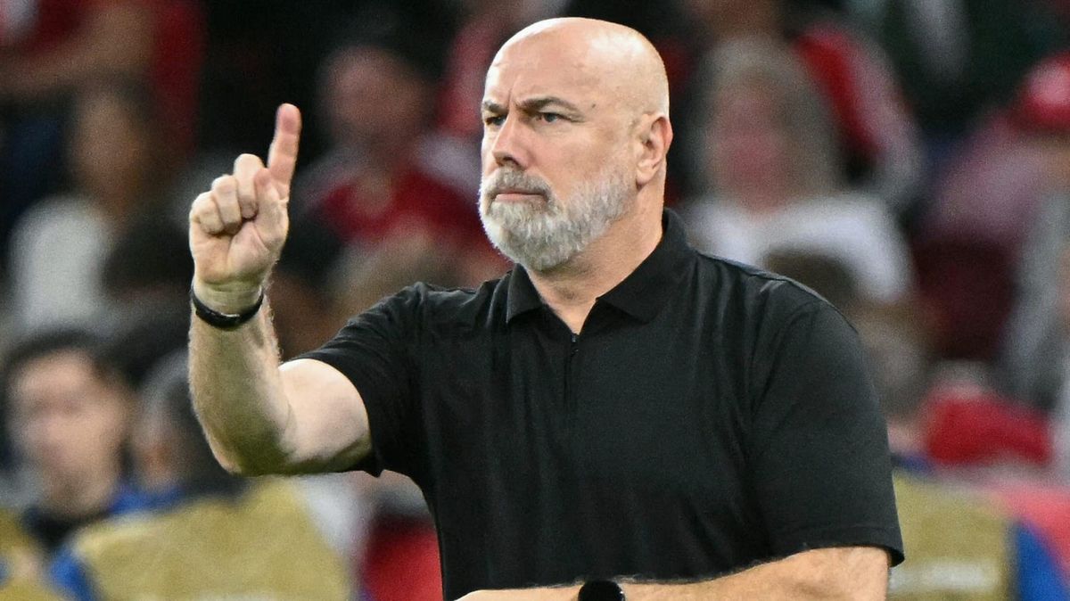 "Beispiel für Integration": DFB-Team für Barbarez ein Vorbild