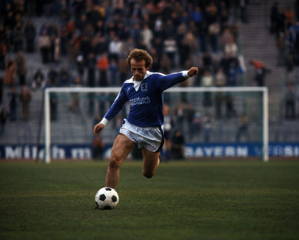 Löwen in der Achterbahn!