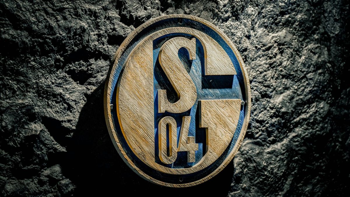 Schalke schließt Partnerschaft mit US-Klub