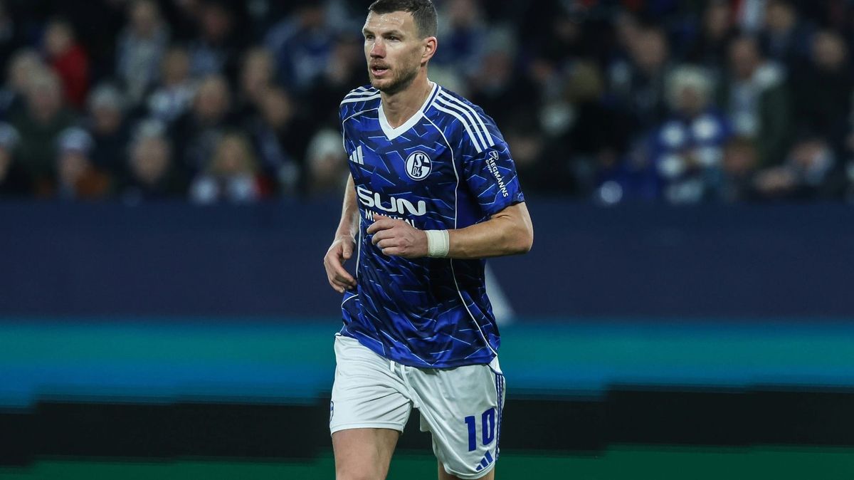 Dzeko glaubt an Schalke-Aufstieg: "Gehört in die Bundesliga"