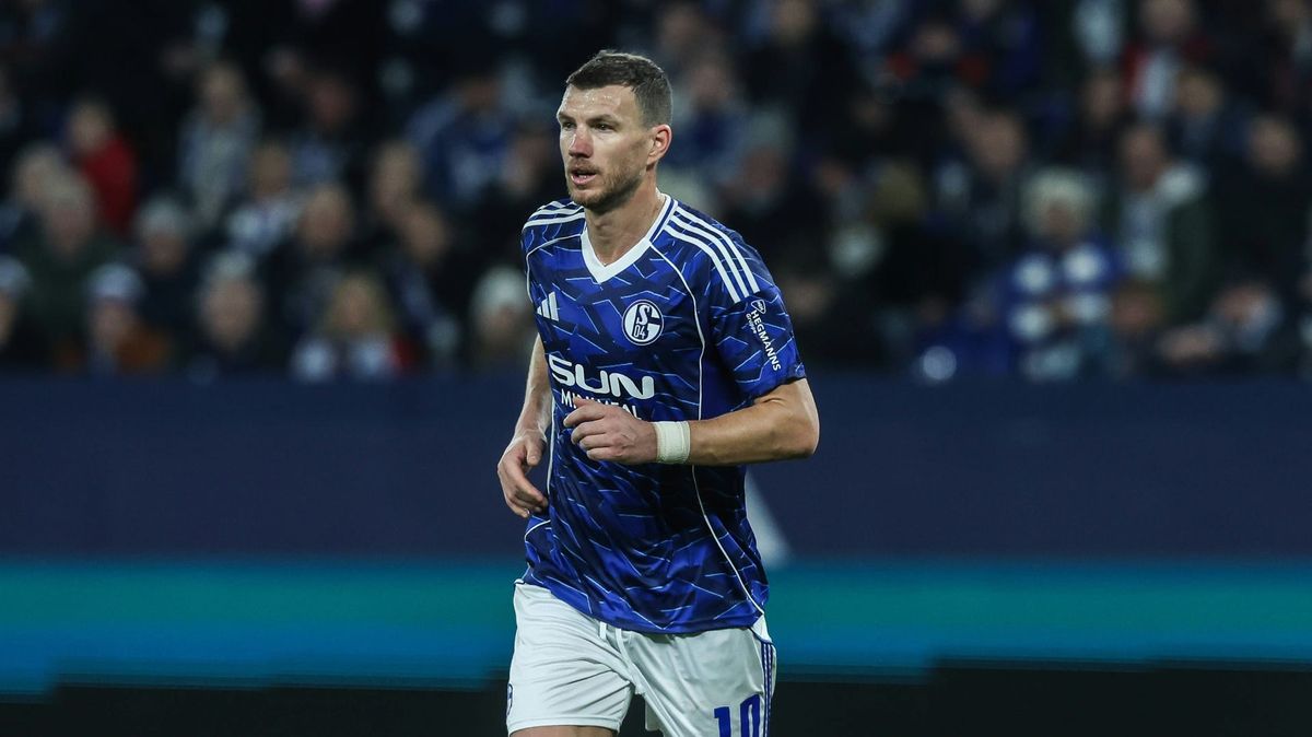 Neuer Schalke-Fan: Demirovic "himmelt" Dzeko an