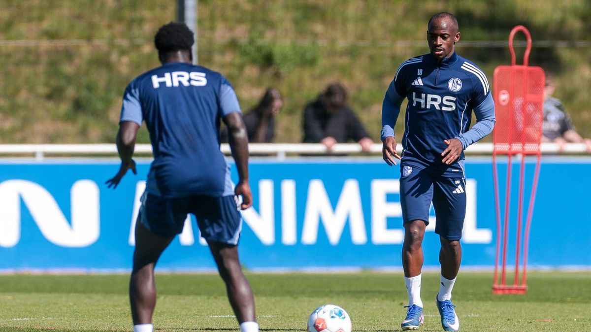 Antwi-Adjei verlässt Schalke zum Saisonende