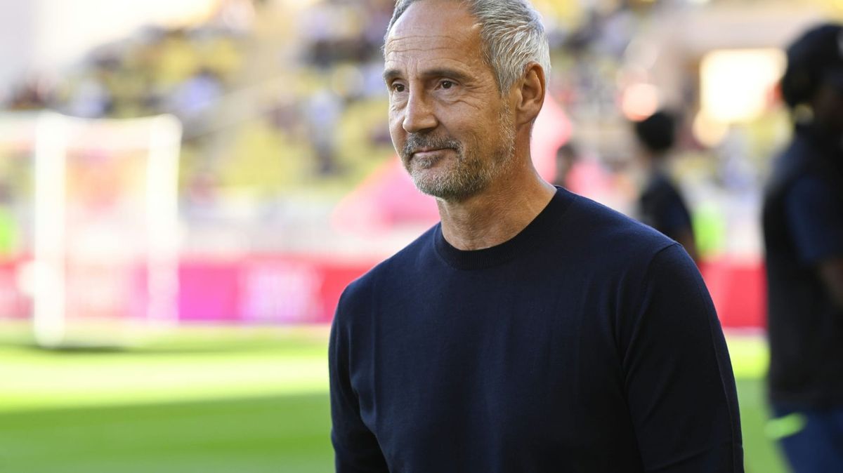Frankfurt holt Hütter als Trainer zurück