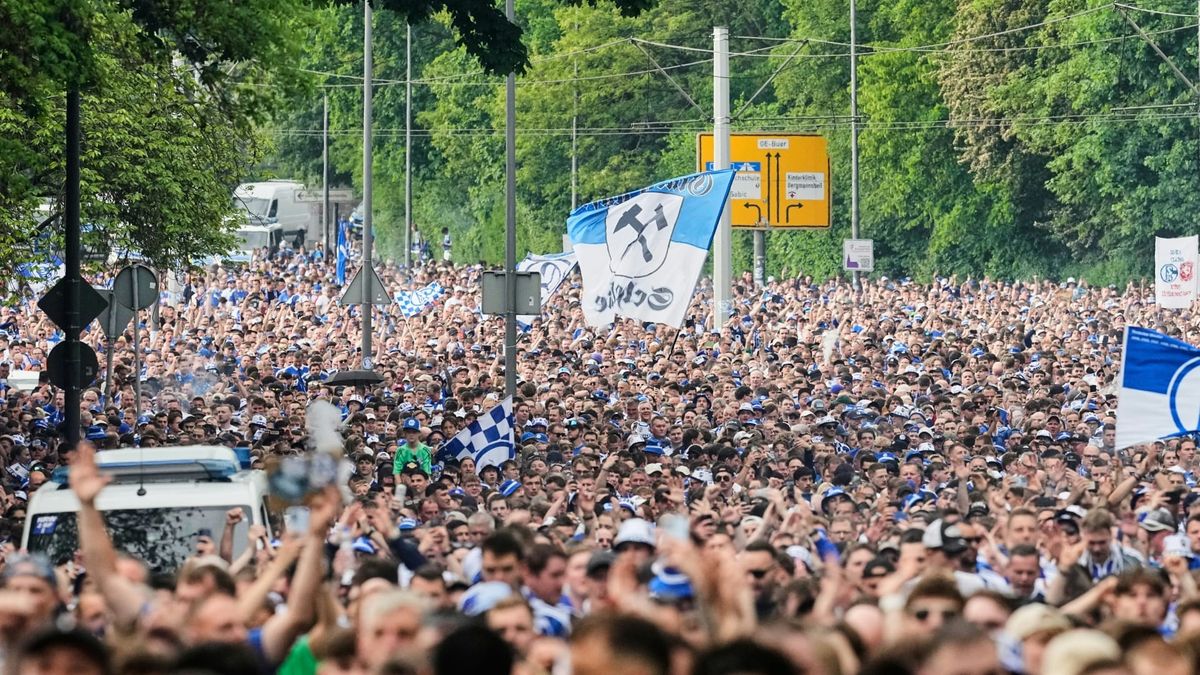 Schalke bereit - Dzeko zurück, Muslic ein "Glücksgriff"