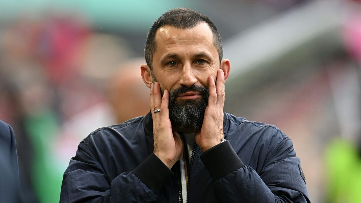 Salihamidzic plant Rückkehr in den Fußball