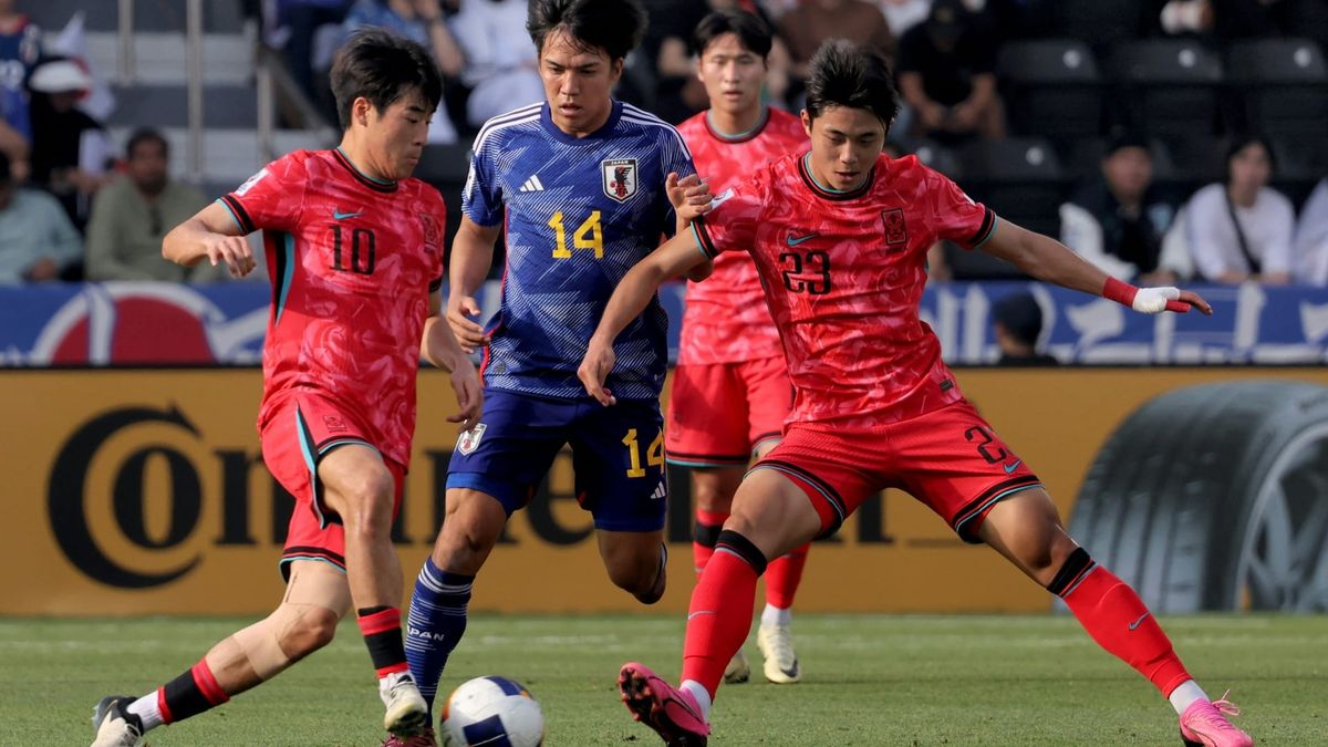 Schalke holt Tanaka aus Düsseldorf
