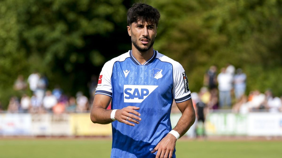 Wolfsburg holt Damar aus Hoffenheim
