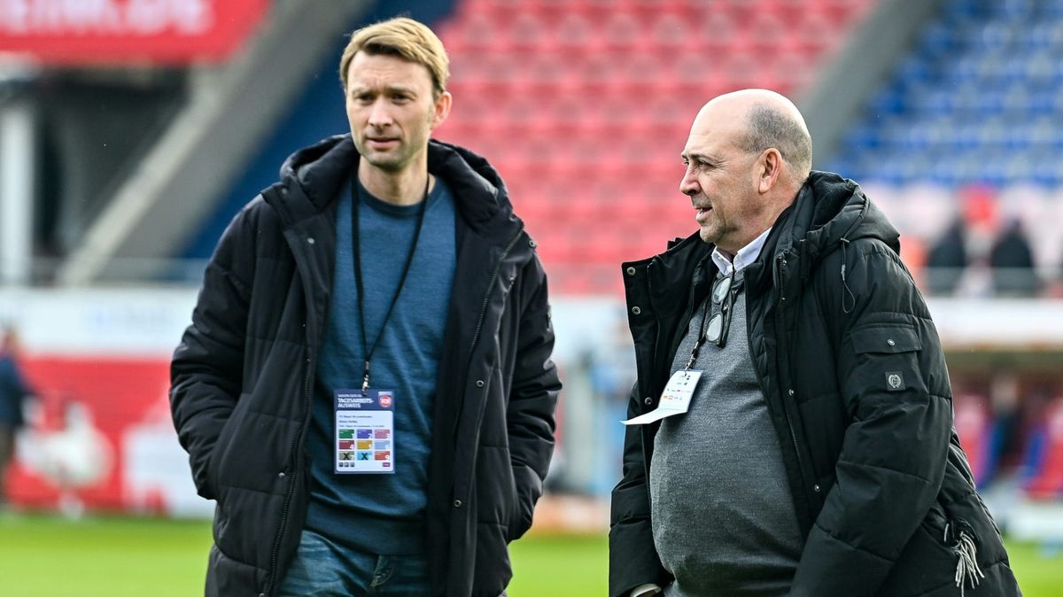 Simon Rolfes und Fernando Carro