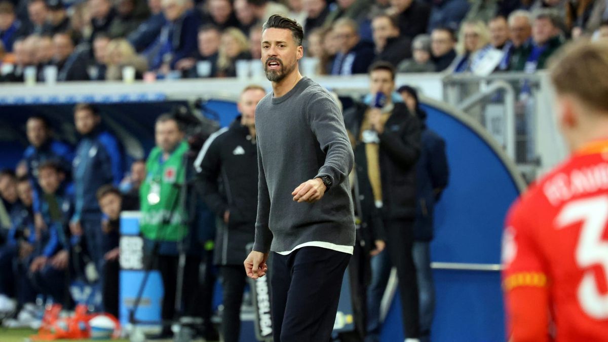 Neuer Trainer in Hannover: Sandro Wagner